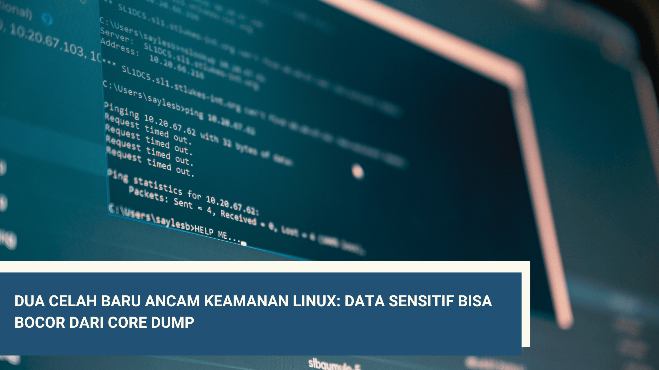 article-image